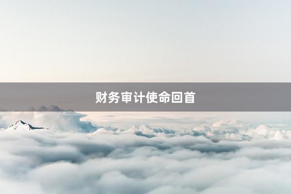 财务审计使命回首