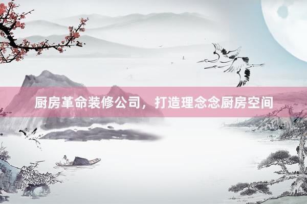 厨房革命装修公司，打造理念念厨房空间