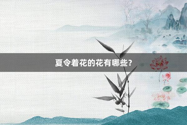 夏令着花的花有哪些？